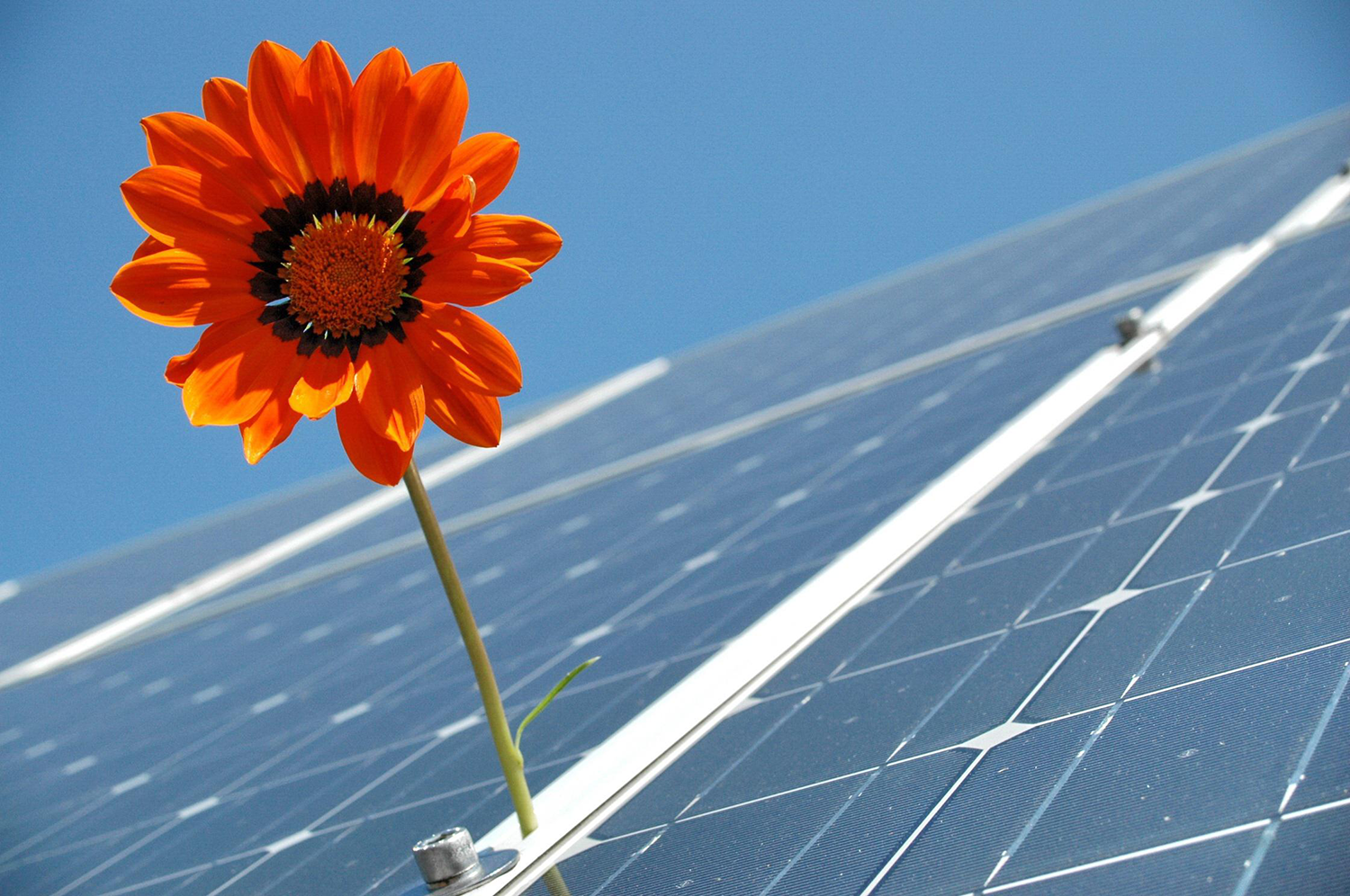 solar-2955323